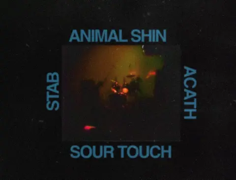 Flyer for Animal Shin, Stab, Acath, Sourtouch